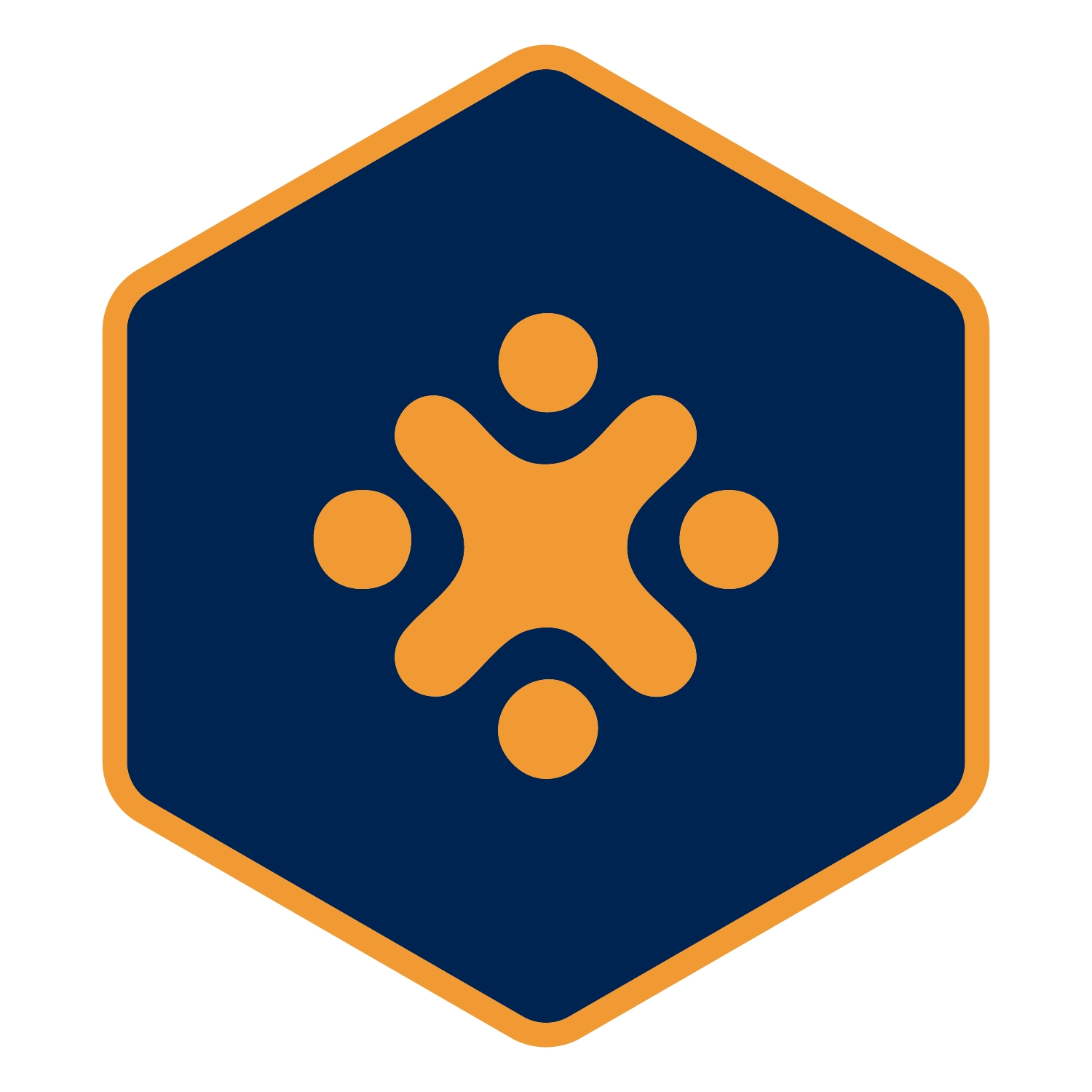 Accessibility Icon in brand colors