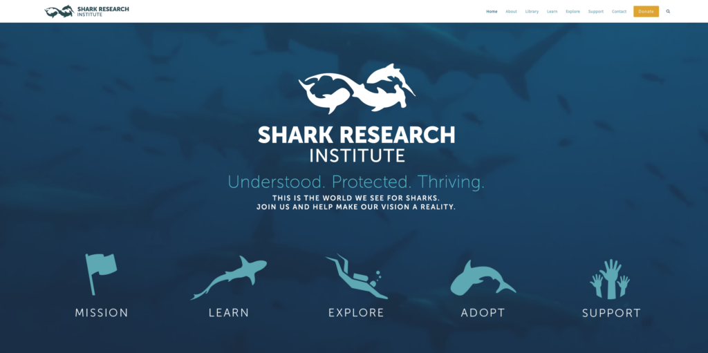 screenshot sharks.org